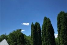 Non Stop Funerare Ungheni Funerare Ungheni 0723757779 -  CASA FUNERARA DRAGOMIR