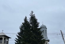 Non Stop Funerare Ungheni Funerare Ungheni 0723757779 -  CASA FUNERARA DRAGOMIR